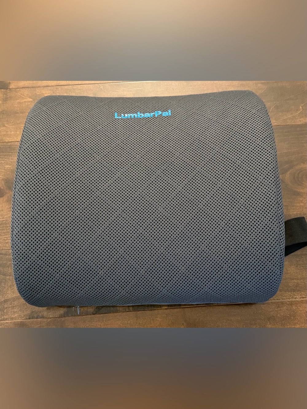 🌟 NWOT Gray Mesh Lumbar Support Pillow